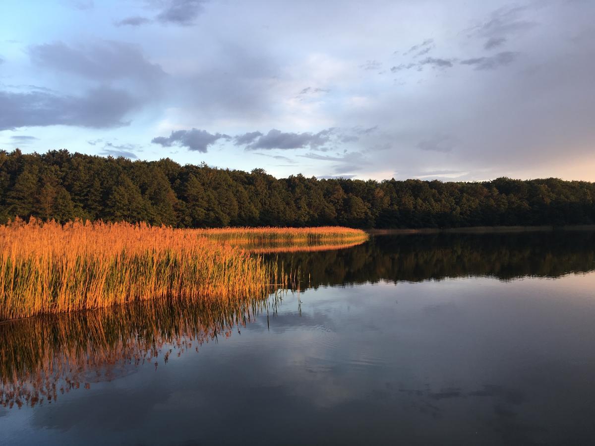 Stajnia Sarnowek Nad Jeziorem Rozany Rozajny Wielkie Exterior foto